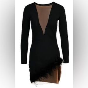 Mesh, deep V neck, black dress.